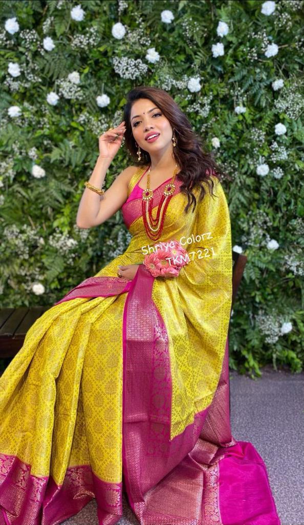 rani banarasi  silk saree