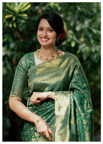 Light Shaded Green Blazik Saree