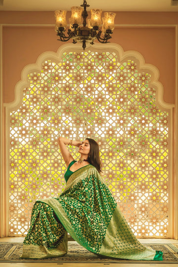 light green new design banarasi silk saree