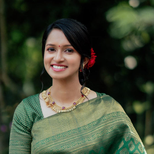 Light Shaded Green Blazik Saree