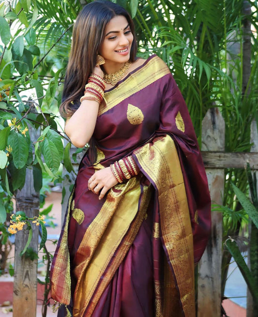 WC Blazik New Saree