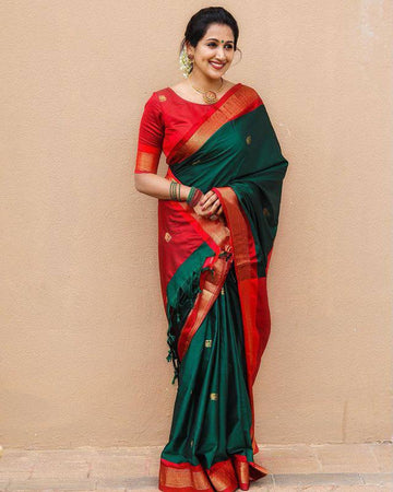 masterpiece  banarasi  silk saree