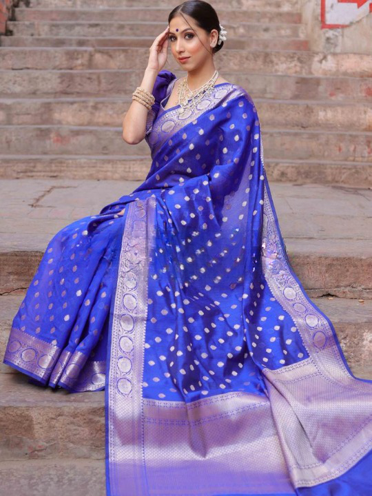 Rajshree Silk Saree