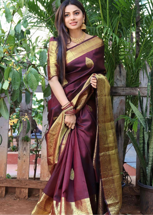 WC Blazik New Saree