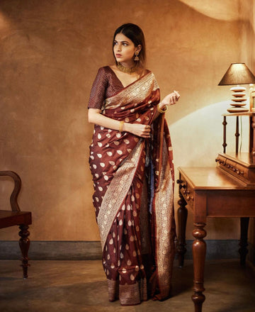 Coffee Blazik Banarasi saree