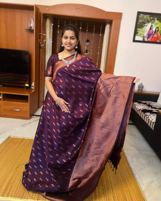 New Wine Blazik Saree