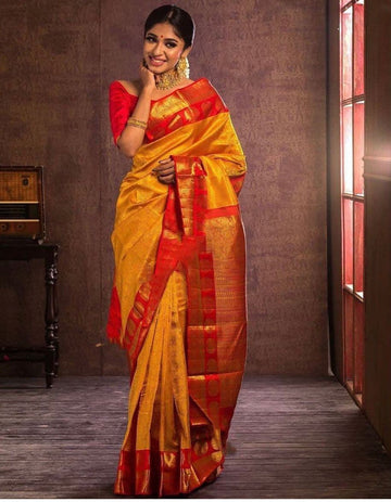 blazik bananasi  silk saree